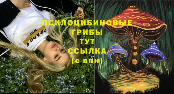 скорость Алексин