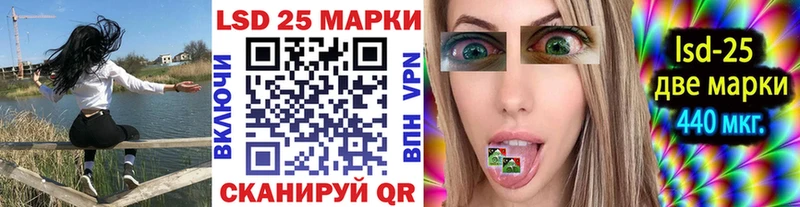 ОМГ ОМГ ТОР  Лесной  Наркотические марки 1,5мг 